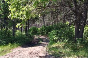 9-Acre Land in the Golf Capital of Central WI!