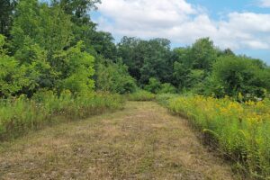 8 Acres Wooded Land with 28’ Camper near De Soto, WI!