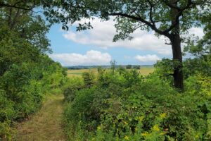 8 Acres Wooded Land with 28’ Camper near De Soto, WI!