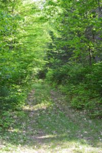 Wisconsin's Northwoods, 193 Acres and 900' Shoreline on the Eagle River!