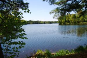 Vilas County WI Lakefront Property for Sale!