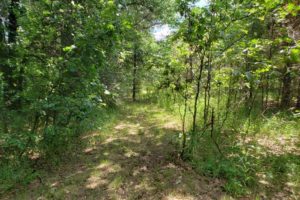 Central Wisconsin Property for Sale!