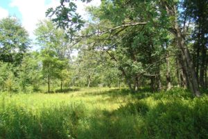 Central Wisconsin 255 Acre Recreational Retreat!