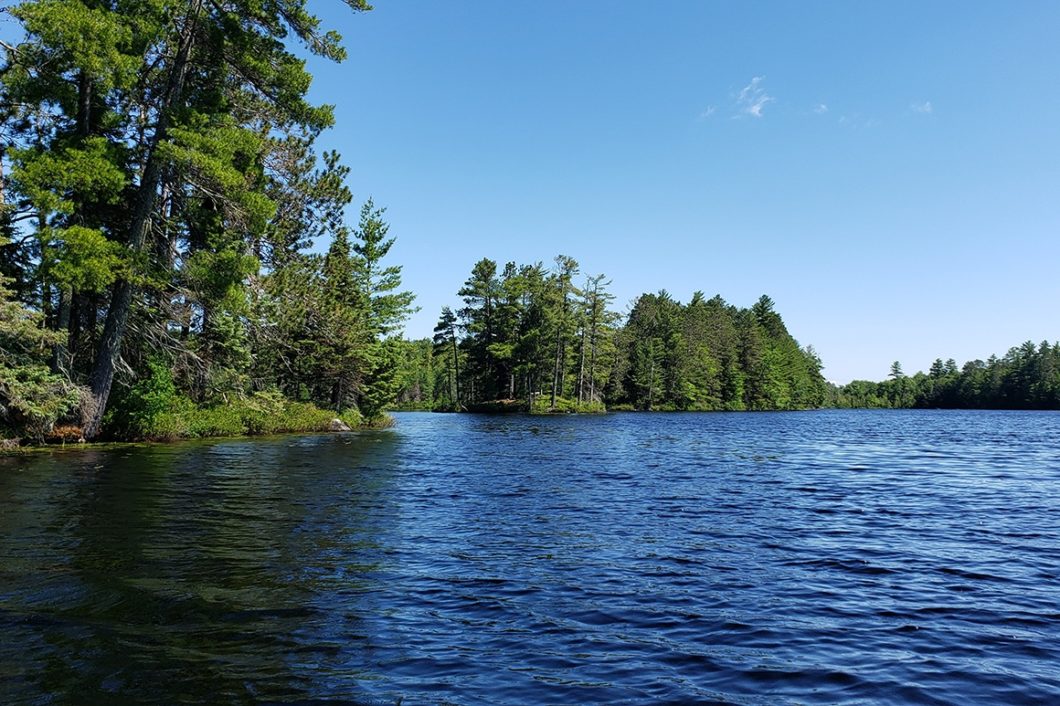 Minocqua Area WI Lakefront Property, A Paddlers Paradise!