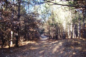 7 Acres in Central WI!