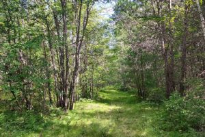 Northern Wisconsin, Marinette County 8 Acres of Land for Sale!