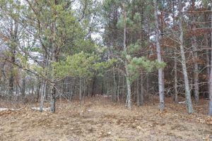 Wooded Property in the Heart of Juneau County in Central WI!