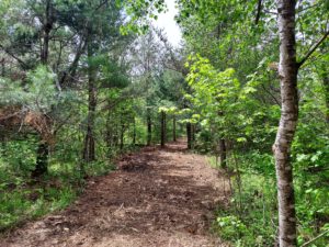 Eagle River, Wisconsin, 8 Acres, Woods & Recreation!