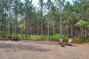 Central WI, Lake Petenwell Area, 10 Wooded Acres!