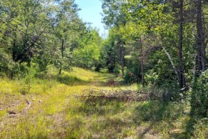 Marinette County WI Wooded Acreage, Hunt & Fishing Camp!