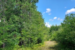 Marinette County WI Wooded Acreage, Hunt & Fishing Camp!