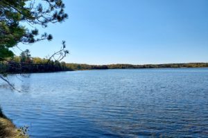 Northern Wisconsin's Peshtigo Lake, Lakefront Acreage for Sale!