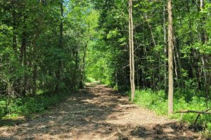 WI Land for Sale; 10 Acres of Woods and Wildlife in Polk County!