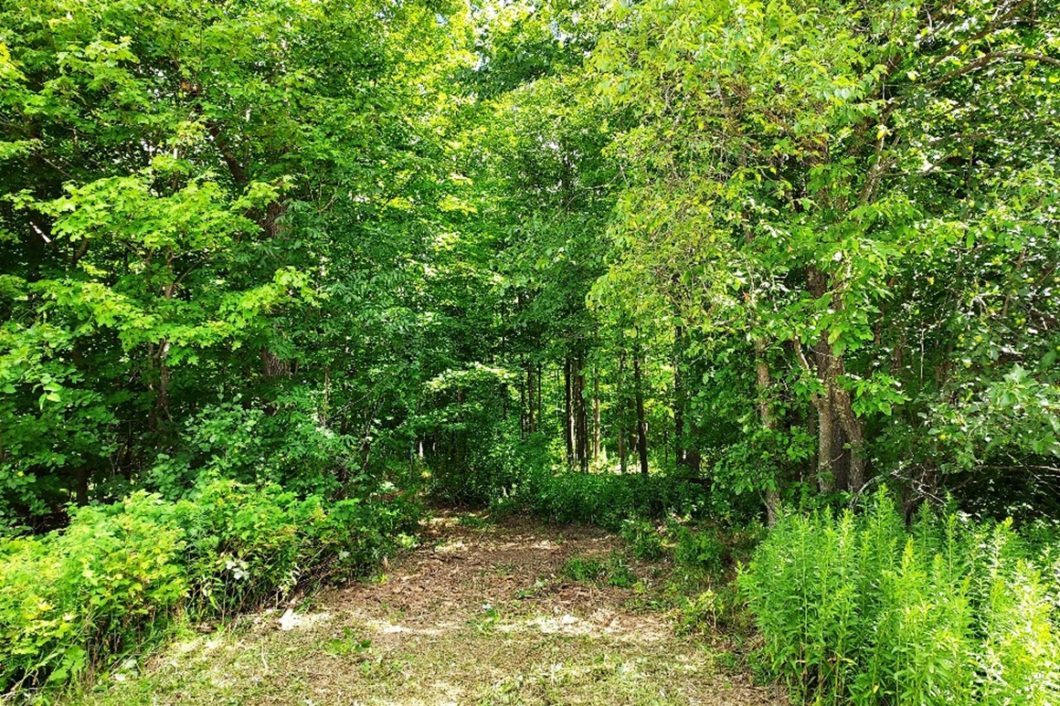 Marinette County, WI – 8 Acres of Wooded Real Estate!