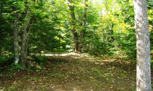 Wooded WI Property, 9 Acres, Sawyer County Forestlands!