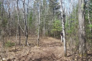 Wisconsin 7 Wooded Acres next to State Forestland!