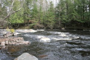 Wooded Northern WI Recreational Property for Sale in Florence County!