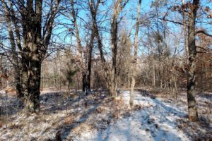 Northern WI 6.3 Acre Camp or Cabin Property, Woods, Heated Deer Stand!