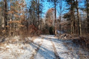 Northern WI 6.3 Acre Camp or Cabin Property, Woods, Heated Deer Stand!