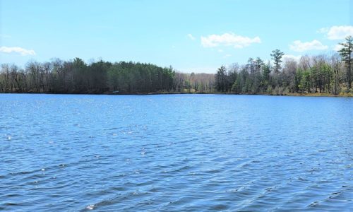 Northern WI Oneida County, Minocqua Lakefront Property for Sale!