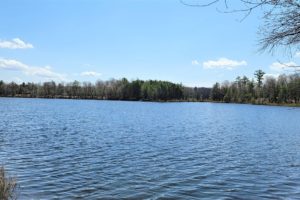 Northern WI Oneida County, Minocqua Lakefront Property for Sale!