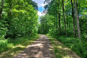 Northern WI, 52 Acres, Woods & Wildlife Bordering County Forestlands!
