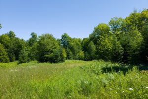 Northern WI Wooded Land for Sale by All Sports Lake!