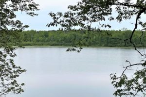 NW WI, 77 Acres of Woods with Little Round Lake and Apple River Waterfront!