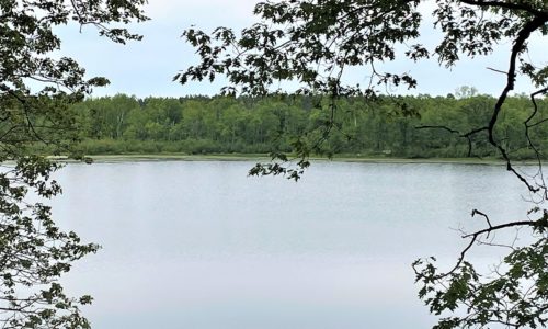 NW WI, 73 Acres of Woods with Little Round Lake and Apple River Waterfront!