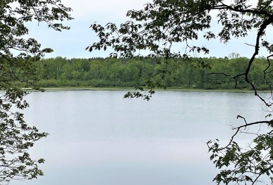 NW WI, 77 Acres of Woods with Little Round Lake and Apple River Waterfront!