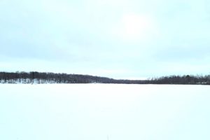 NW WI, 38 Acres of Woods with 1,350' of Little Round Lake Shoreline!