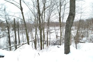 NW WI, 38 Acres of Woods with 1,350' of Little Round Lake Shoreline!