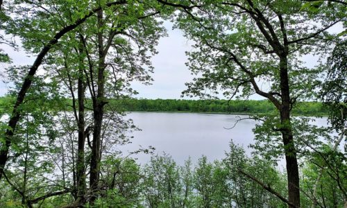 75 acres with 4,600’ of Waterfront near Turtle Lake, WI!