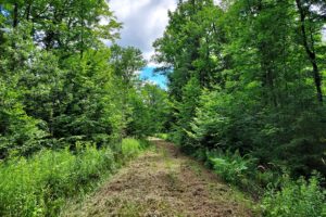 52 acres with over ¼ Mile of Frontage on Langlade County Forest!