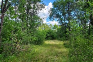 Marinette County, WI – 8 Acres of Wooded Real Estate!