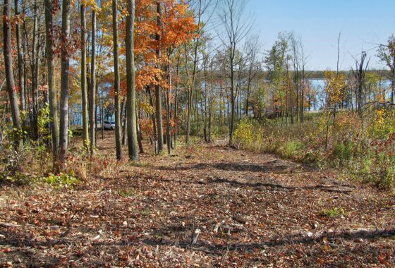 11-Acre Lakefront Property in Cumberland, WI – 75 mins from Twin Cities!
