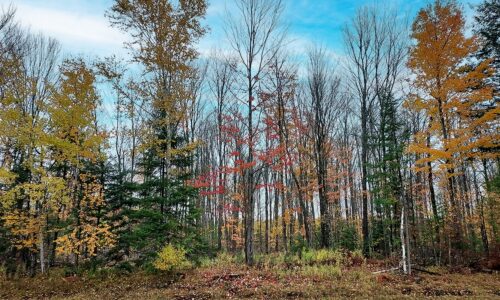 6-Acre Wooded Buildable Land near Lake Lucerne