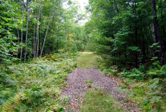 5 Acres near Rhinelander, WI with Driveway and Clearing!
