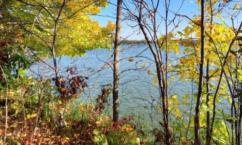 16-Acre Lakefront Property near Turtle Lake in Northwestern WI!