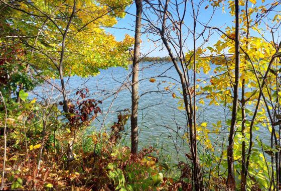 16-Acre Lakefront Property near Turtle Lake in Northwestern WI!