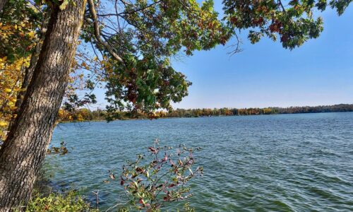 8.4-Acre Lakefront Property near Turtle Lake, WI – Just 75 Minutes from Twin Cities!