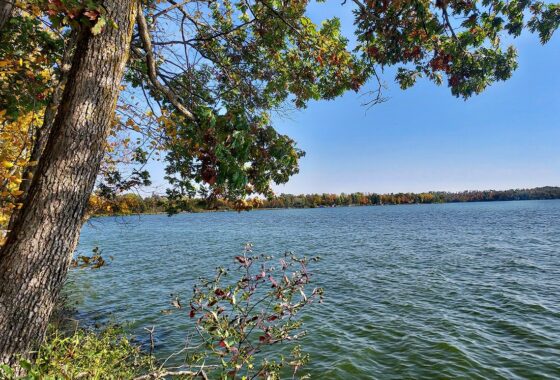 8.4-Acre Lakefront Property near Turtle Lake, WI – Just 75 Minutes from Twin Cities!