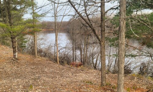 4.6-Acre Waterfront Property in Rusk County, WI