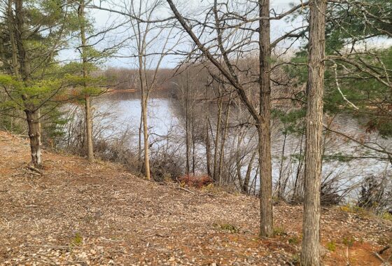 4.6-Acre Waterfront Property in Rusk County, WI