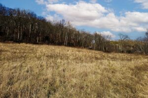 Secluded Land For Sale with Views of the Mississippi River – Vernon County, WI