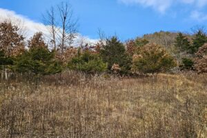 Secluded Land For Sale with Views of the Mississippi River – Vernon County, WI
