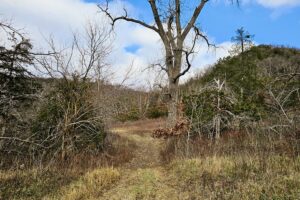 Secluded Land For Sale with Views of the Mississippi River – Vernon County, WI