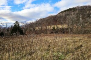 Secluded Land For Sale with Views of the Mississippi River – Vernon County, WI