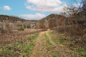 Secluded Land For Sale with Views of the Mississippi River – Vernon County, WI