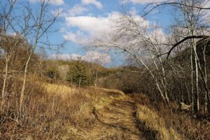 Secluded Land For Sale with Views of the Mississippi River – Vernon County, WI